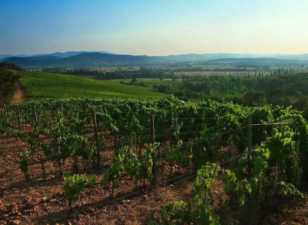 Agriturismo & Cantina Tenuta Casteani Курортный комплекс Ribolla