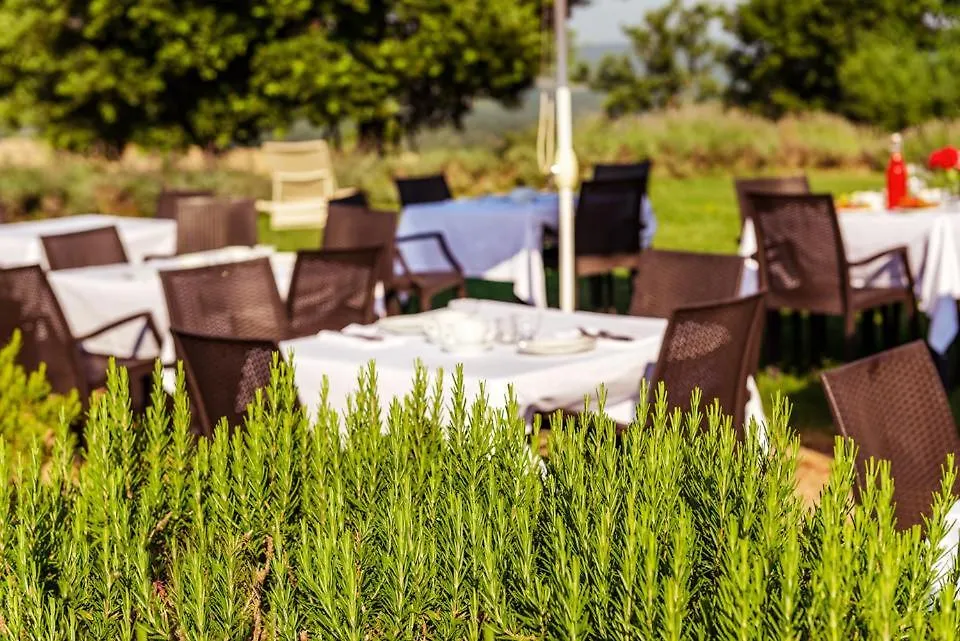 Agriturismo & Cantina Tenuta Casteani 3*, Ribolla Италия